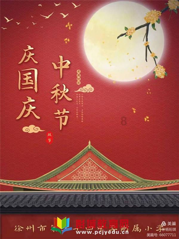 金刚鹦鹉逃生